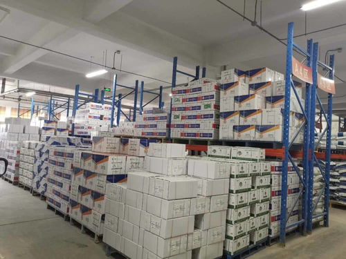 責(zé)任民企攜手政府服務(wù)，助力泰安抗疫與復(fù)工復(fù)產(chǎn)